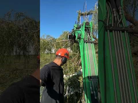 Tree Cutting With Excavator