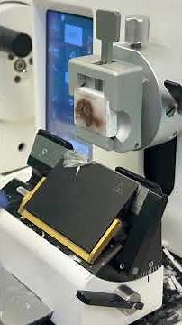 Microtomy ASMR: Every Tech’s Favorite Sound! #histology #microtomy #tissueprocessing