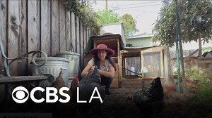 Neighbors are helping each other stretch their budgets with time banking