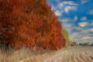 Testing a new processing technique👩‍🎨 — Hive