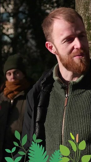 Nouvelle formation Animateur Plantes Sauvages 🔥