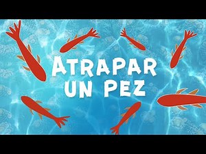 Cat Games with fish on the screen | TV for cats!