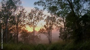 Timelapse of a dramatic and misty outback sunrise, as the clouds hurry past and the mist ebbs and flows like water