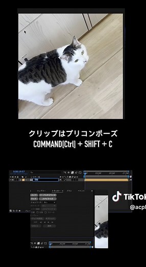 タイムリマップを使った時間コントロール技術