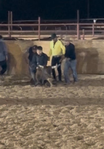 #montasdetoros | torus