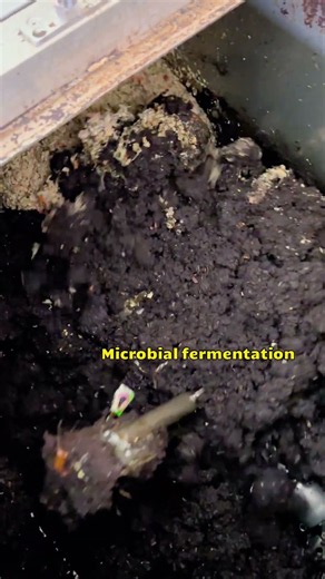 Food waste composting machine, processing food waste into organic fertilizer. #compostingmachine