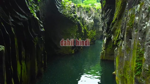 10K views · 1.2K reactions | Juan 15:1-17 ASND https://www.bible.com/tl/bible/1264/JHN.15.1-17.ASND | イェシュア の 道 | Facebook