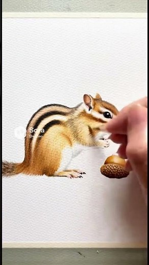 【15秒で描く】ふんわり可愛いリス｜やさしい水彩色鉛筆アート