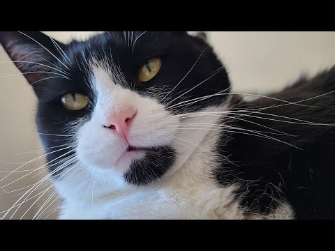 MILES - FNF Vs. RetroSpecter P2: Infernadise OST (Vs. Miles)