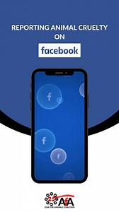 Let’s learn how to report animal cruelty content on the platform you use! Watch this video and follow the simple steps. With just a few taps, you can take action and speak up for abused animals - even from miles away. It’s that easy to make a difference. For more information, visit: www.smaccoalition.com/report-it-hub #ReportIt2EndIt #ReportItWeek #AsiaforAnimals #SMACC #OnlineAnimalCruelty @AsiaForAnimalsCoalition | Born Free USA | Facebook