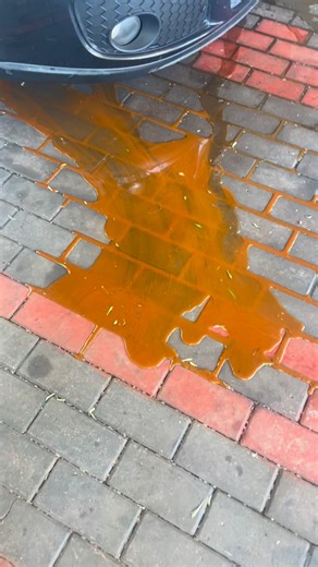 1.5K reactions · 96 comments | What do you think causes this? #louwscustomsza #mobilemechanic #mechaniclife #cars #automotive | Louw's Customs | Facebook