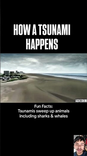 😱"How Tsunamis Happen: The Science Behind the Destruction"*