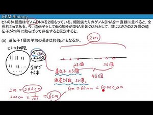 高校生物「遺伝子に関する計算問題（やや難）」