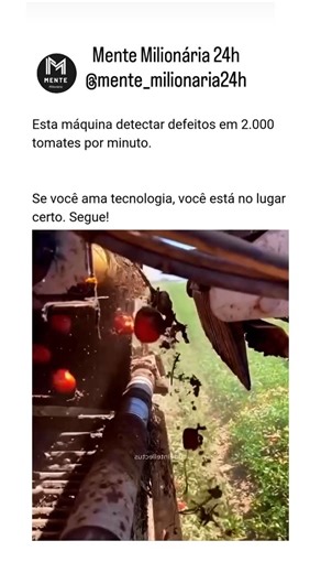 Mente Milionária on Instagram: "🍅 Máquinas de triagem óptica conseguem analisar 2.000 tomates por minuto usando visão computacional. ⚡ Cada tomate é verificado em milissegundos: maturação, tamanho e defeitos. Os bons passam direto. Sujeira, pedras e frutos danificados são expulsos instantaneamente por braços robóticos. 👷‍♂️ Enquanto um humano separa cerca de 2 por segundo, esse sistema faz 33 por segundo — sem erro nenhum. E não é porque as máquinas são “mais inteligentes”. É porque não precis