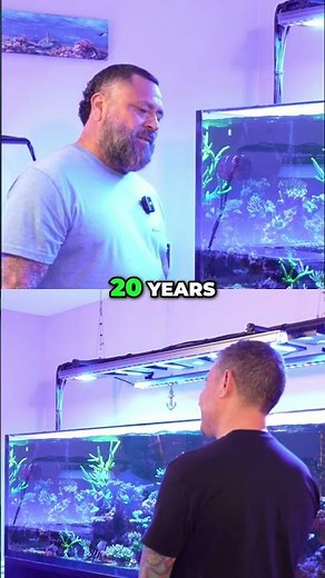 Blue Reef Haven's Incredible Coral Tanks