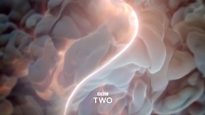2.3K views · 99 reactions | Together with BBC Creative and...