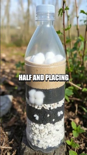 Creating a DIY Water Purification System