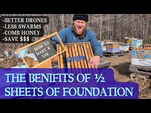 Half Sheets of Foundation are one of My Favorite Spring Management Tools.