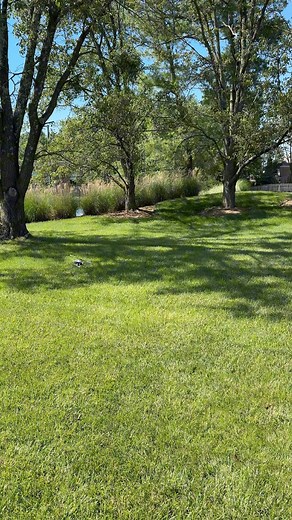 Direct-Drive power in a micro helicopter like the InFusion 120 never gets old! #HorizonHobby #BladeRC #InFusion120 #RCHelicopter #MiniRCHelicopter | Blade RC