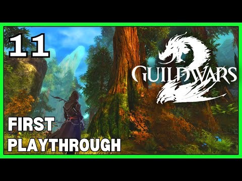 First Time Playing GUILD WARS 2 | Lets Play Guild Wars 2 | Part 11