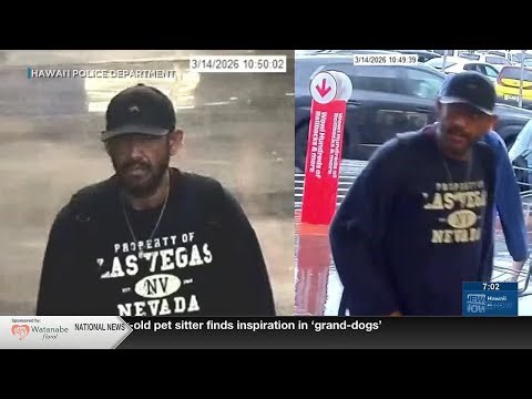 Police search for Kona credit card theft suspect