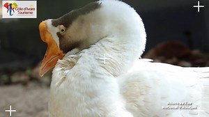 3.1K reactions · 241 shares | 李懶 Envie d’une sortie nature et...