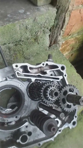 Significant differences between 125 and 150 cc engines