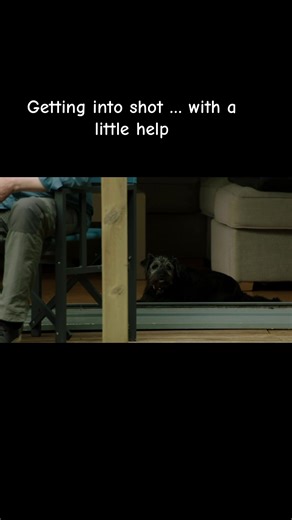 Behind the Scenes with Bob Mortimer: A Hilarious Moment