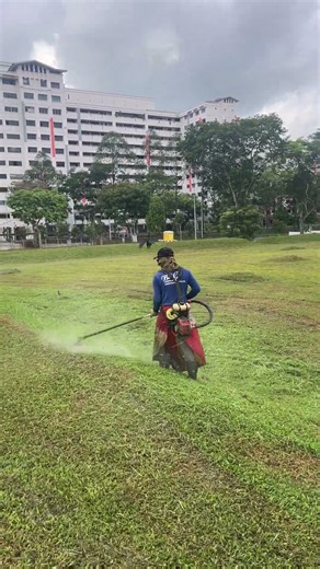 unskilled jobs #grasscutting #automobile #singaporetech #gardendesign #travel