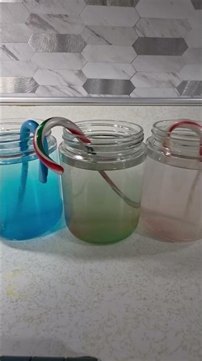 preschool and kindergarten candy cane science experiment #science #experiments #kindergarten