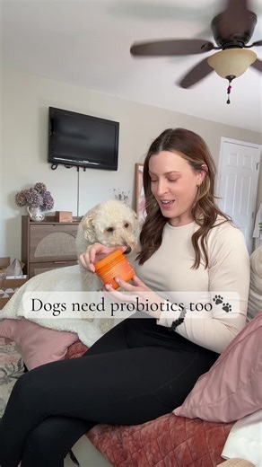 Probiotic Treats for Happy Pups: Zesty Paws Review