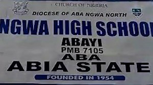 Governor Alex Otti’s Biography Tells it All… From his childhood, education, early youth, private-sector journey, business career, and eventual venture into the murky waters of politics, tells nothing but the story of a phoenix rising, a man destined to liberate his people. Wonder why he is performing so excellently today? Take time to listen to his story as he tells it himself, and you will discover why Abia, ndi Igbo, and Nigeria at large truly need leaders like him. You will also understand ho