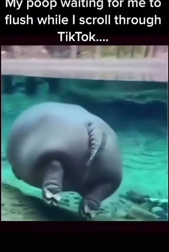 Hilarious Poop Memes That Will Make You LOL