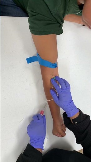 Free Phlebotomy Training