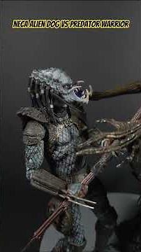 Alien Dig VS Predator Warrior NECA ‪@neca‬ #aliens #predator #necatoys #actionfigure #collection