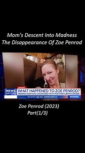 Zoe Penrod, 39, disappeared from her Northern California home on December 1, 2023, amidst a mental health crisis. She had been experiencing postpartum psychosis after giving birth to her son, Daniel, in July 2023. Penrod's fiancé, David Boyett, reported that she was acting erratically and was briefly hospitalized before her disappearance. Despite her diagnosis, Penrod was sent home from the hospital after three days due to a lack of beds. Boyett is still searching for Penrod, while caring for th