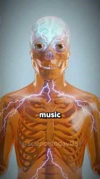 Why is the number six or seven so popular? #facts #science #3danimation