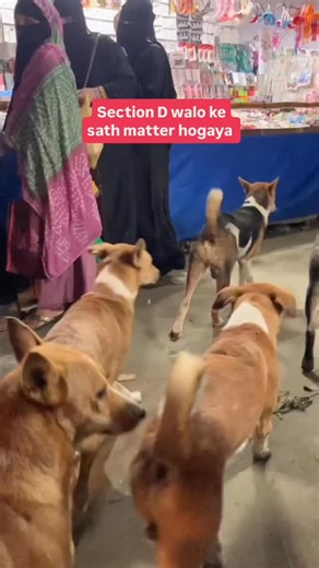 Bada matter hai lagta hai 💀 #FCReels | FilterCopy