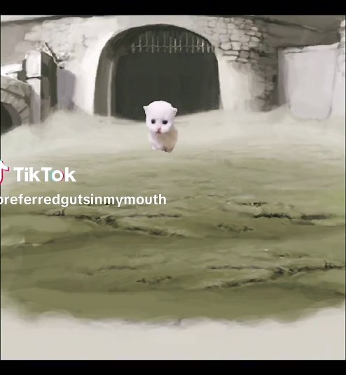 Understanding Fear and Hunger Game Concepts