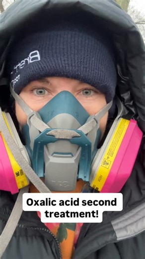 The hives are heading into winter with their last mite protection - Oxalic Acid! Love my ProtectaBEE® where all I have to do is add the solid insert to close it off. About 2-3 minutes per hive. | Best for Bees