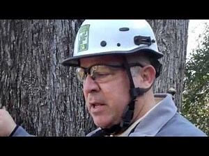 Kevin Caldwell Shows Hobbs Arborist Device in Action