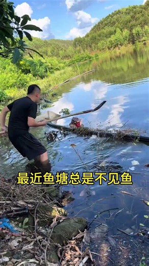 Discover the Countryside's Hidden Treasure: The Big Goose Hunt! CountrysideAdventure Goose