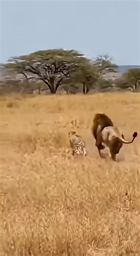 The Rise of Smart Robots: A Look into Tech Magic