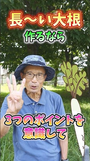 Secrets to Growing Long Daikon Radishes in Your Garden or Farm! 3 Tips for Success and How to Gro...