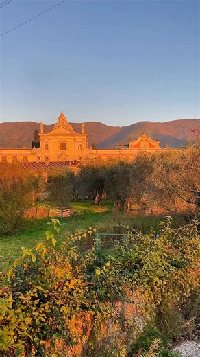The Certosa di Calci, a Carthusian monastery founded in 1366, now houses one of the world’s oldest natural history museums. 📍 The museum began in the late 1500s as a “Gallery of Wonders,” created by Grand Duke Ferdinando I de’ Medici at Pisa’s Botanical Garden. Today, its historic collections sit among stunning architecture — a hidden gem where Sunday sunsets make the quiet corners truly magical. 📍A 10 minute drive from our base in Vicopisano and 15 minutes from Pisa. #tuscany #calci #pisa | A