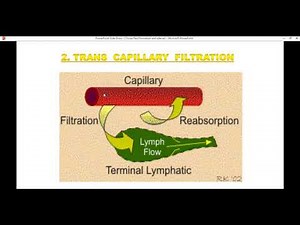 tissue fluid formation & edema