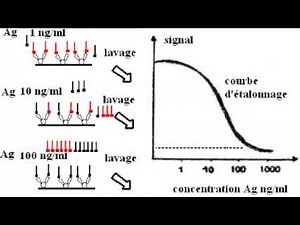 📍 Les techniques radio-immunologiques ( isotopes radioactifs )
