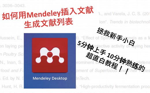 如何使用Mendeley插入引用文献生成文献列表