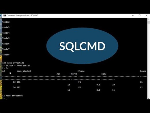 SQLCMD Tutorial: Connect to SQL Server Run Queries | Gamal Malak posted on the topic | LinkedIn