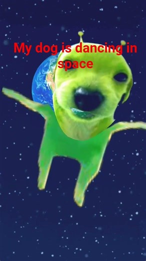 My dog is dancing in space #funny 🎉